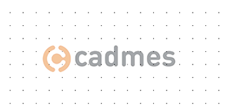 Cadmes uses ionBIZ daily to optimize their business